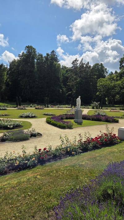 This is a landscape photograph of the Palanga Botanical Garden in Palanga, Lithuania. The image captures a well-maintained garden on a sunny day with scattered white clouds in a blue sky.

In the foreground, a grassy slope is visible, with a bed of blooming purple lavender flowers in the lower right corner. A curved pathway made of light-colored gravel winds through the garden. Along the edges of this pathway, there are flowerbeds filled with roses of various colors, including red and yellow, as well as other flowering plants in shades of pink and white.

Further into the garden, on a raised pedestal, stands a white classical-style statue of a human figure. Around the statue and throughout the garden are neatly manicured lawns and more flowerbeds featuring purple and pink blooms. In the background, a dark green fence separates the garden from a dense line of trees that form the edge of the garden. The overall scene depicts a serene and picturesque botanical garden.