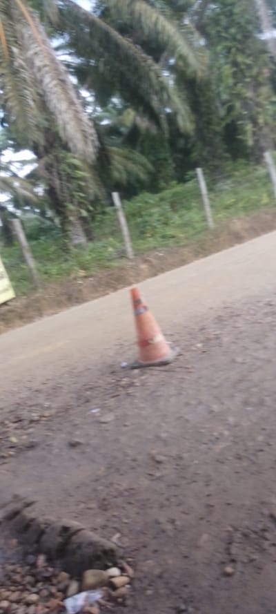 The image captures a rural or semi-rural roadside scene in a tropical setting, consistent with Tibú, Colombia. An orange traffic cone, marked with white or reflective bands, stands prominently on a dirt and gravel road in the midground. The road surface is uneven, showing loose soil, pebbles, and small bits of debris. To the immediate left in the foreground, a rough patch of ground or a shallow ditch contains more rocks and what appears to be a discarded white wrapper.

The background is dominated by dense, green vegetation, including numerous tall palm trees and other lush foliage. Several light-colored, slender fence posts are scattered within the greenery, suggesting a boundary or simple fencing alongside the road. A blurry, light-colored rectangular object, possibly a sign, is partially visible on the far left edge of the frame in the distance, but any text it might contain is unreadable.

No people or specific activities are visible in the image. The lighting indicates it is daytime, though the light appears diffused, possibly due to an overcast sky or the time of day being early morning or late afternoon. The scene evokes a quiet, undeveloped area within a verdant, natural landscape.