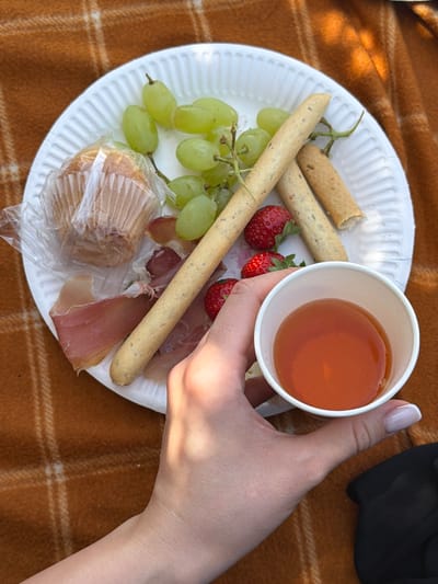 A white paper plate, laden with picnic fare, rests on an orange and white plaid blanket. The plate holds green grapes, two breadsticks, prosciutto slices, three strawberries, and a muffin encased in plastic wrap. A white paper cup, filled with a reddish-orange liquid, is held in a person's hand. The setting appears to be outdoors, with dappled sunlight casting shadows across the scene. The provided information suggests the location is the city of Trouville-sur-Mer, France.