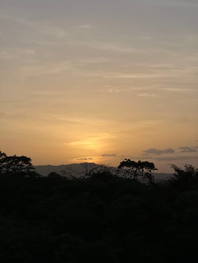 A sunset casts a warm, golden glow across the sky over Nindirí, Nicaragua. The sky is filled with wispy clouds, transitioning from a pale gray at the top to a vibrant orange near the horizon. Below the sky, a dark silhouette of dense trees and rolling hills stretches across the landscape. Several bare, skeletal tree branches are visible in the foreground, contrasting with the lush foliage. The setting sun is partially obscured by the distant hills, creating a soft, diffused light.