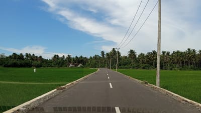A straight asphalt road with a white dashed center line leads into a lush green landscape. To the left and right of the road are vibrant green rice paddies. A dense line of palm trees forms the backdrop, obscuring any view beyond. A single utility pole with power lines stretches diagonally across the upper right portion of the frame. In the distance, on the left side, a small building with a red roof is visible amidst the greenery. The sky above is a clear blue with a few wispy white clouds. The overall scene depicts a rural setting in Jurong Mesjid, Indonesia.