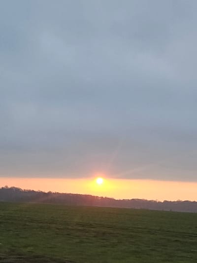 The image displays a rural landscape scene in Orcemont, France. The upper two-thirds of the frame show a light blue-grey sky, indicative of overcast or hazy conditions. A prominent, bright yellow-orange sun is positioned low on the horizon, slightly to the left of the image's vertical center, casting a horizontal band of orange and pink light across the immediate horizon. Below this illuminated band, a dark, silhouetted line of trees or a forest is visible. The lower third of the image is occupied by a gently sloping green field. No individuals, animals, specific man-made objects, or discernible actions or interactions are present within the scene. The lighting suggests either sunrise or sunset.