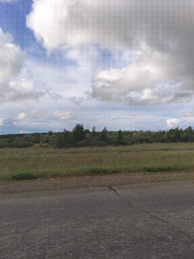 The image depicts a rural landscape under a cloudy sky. In the foreground, a cracked asphalt road runs horizontally across the bottom of the frame. Beyond the road, a field of tall, dry grass stretches towards a line of trees and dense shrubbery. The vegetation appears to be varied, with some trees showing lighter green foliage and others darker. The background features a distant horizon line, with more indistinct foliage and possibly some low buildings or structures obscured by the distance and haze. The sky is a mix of blue patches and heavy, grey clouds, suggesting a dynamic weather system. There are no people or animals visible in the scene. The overall impression is one of a quiet, possibly remote, natural setting. The time of day appears to be daytime, given the brightness of the sky, but the cloud cover creates a somewhat subdued light. The location context provided, Рощин ауылдық округі, Kazakhstan, places the scene in a specific geographical area. There is no visible text in the image.