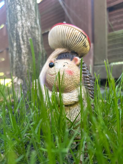 The image shows a close-up of a garden gnome partially obscured by tall green grass. The gnome appears to be made of ceramic or resin and depicts a character with a light brown, textured body, a black eye, rosy cheeks, and a black mustache. It is wearing a white hat with a red trim and a tan, ridged mushroom-shaped accessory on its head. The gnome is seated in a dark, woven basket. In the background, a weathered, grey wooden beam is visible, suggesting an outdoor setting, possibly a garden or patio. The lighting suggests it is daytime, and the greenery indicates a warm season. The overall mood is whimsical and serene, hinting at a peaceful outdoor decoration. The location is identified as Środa Wielkopolska, Poland. There is no visible text in the image.