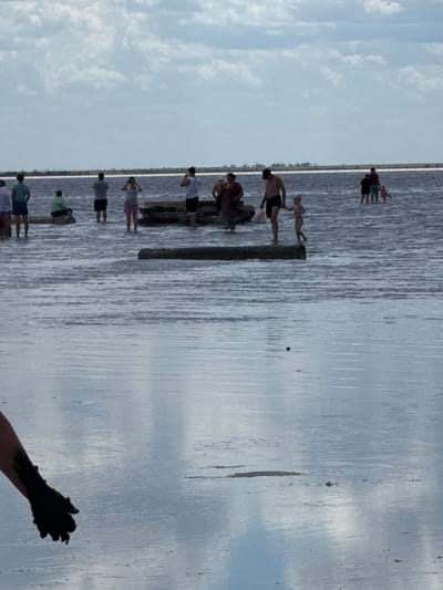 In the city of Бурсоль, Russia, this image captures a group of people wading in a shallow body of water, likely a salt lake, under a cloudy sky. The water's surface reflects the sky and surrounding landscape. Several individuals are visible in the mid-ground, some standing in the water, others on or near submerged logs. A person's arm, covered in dark mud, is prominently featured in the foreground, suggesting the practice of mud bathing. The overall scene depicts a recreational activity in a natural, possibly therapeutic, environment.