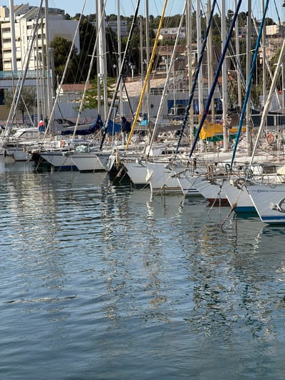 This is a photograph taken in the port of Martigues, France. The image shows a row of sailboats docked in the water. The boats are white with various colored sails, many of which are furled. The masts of the sailboats are tall and numerous, creating a forest of rigging against the backdrop of buildings and trees. The water is rippled and reflects the masts and sails of the boats. The buildings in the background appear to be multi-story structures, some with balconies. The overall impression is one of a peaceful marina on a sunny day.