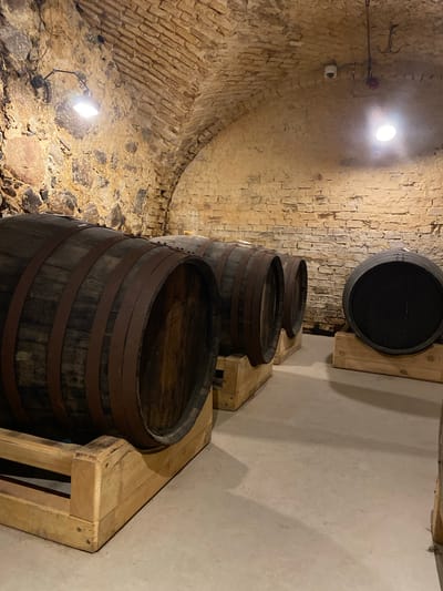 The image depicts a cellar or vault at Valmiermuiža, Latvia, characterized by an arched, rough-hewn stone and brick ceiling and walls. Four large wooden barrels are prominently displayed on wooden stands. Three dark wooden barrels with rusty metal bands are aligned horizontally in the left-to-center foreground, receding into the background. The fourth barrel, on the far right, is also horizontal on a wooden stand, presenting its circular end, which is black. The floor is smooth, light-colored concrete. Two illuminated light fixtures are visible: one articulated lamp on the upper left stone wall and one circular fixture on the right side of the brick arch ceiling. On the ceiling near the right light, a white surveillance camera, a red fire alarm device, and a dark, hook-like object are present. No individuals are visible in the scene.