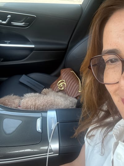 The image provides an interior view of a modern car, likely taken in Alcobaça, Portugal. The main subject is a person whose face is partially visible on the left side of the frame. They have medium brown hair and are wearing brown-framed glasses, with one eye and eyebrow clearly visible. A white collared shirt is seen on their upper body.
In the car's interior, a small, brown, quilted Gucci bag with a gold chain strap and a prominent gold interlocking "GG" logo is resting on a black leather car seat. Beside the bag, a fluffy, light brown object, possibly a small dog or a fur accessory, occupies part of the seat. A black rectangular item, which could be a phone or a small case, is also visible on the seat.
The car's design features black leather upholstery, sleek silver trim accents, and a distinctive carbon fiber pattern on the center console and door panels, indicating a modern and luxurious vehicle. A white charging cable is draped across the center console. The lighting suggests it is daytime. The image appears to be a self-portrait or a casual photo taken from within the car, presented with a 90-degree rotation.