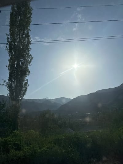 The image depicts a sun-drenched landscape with a tall, slender tree in the foreground on the left, silhouetted against a bright sky. Multiple power lines stretch horizontally across the upper portion of the frame. In the mid-ground, a series of layered, dark mountains recede into the distance. The sunlight is intense, creating a lens flare and washing out the sky in the upper right quadrant. The lower portion of the image shows a dense, dark green foliage, obscuring the ground and any potential human activity or structures. The overall scene suggests an outdoor environment, possibly in a rural or mountainous area near Kadamjay, Kyrgyzstan, given the context. There are no people visible, and the focus is on the natural landscape and infrastructure elements.
