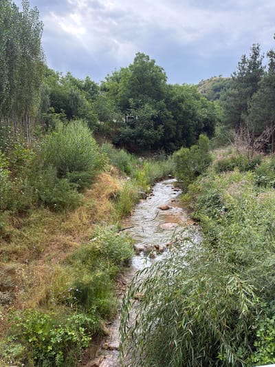 A narrow, rocky stream flows through a natural landscape with lush vegetation. The stream bed is composed of various sized stones and some larger rocks are visible in the water, which appears slightly murky. The banks of the stream are covered in a mix of grasses, weeds, and bushes. On the left bank, a dense stand of tall, slender trees with light-colored bark is present, creating a vertical element in the scene. The right bank is densely overgrown with various green plants and some small pink flowers. Further in the background, a hillside is visible, covered in trees and shrubs, with a few scattered trees on its crest. The sky above is overcast with heavy clouds, suggesting a diffused light. The overall impression is a natural, somewhat wild setting. This scene is located in the city of Khumsan, Uzbekistan.