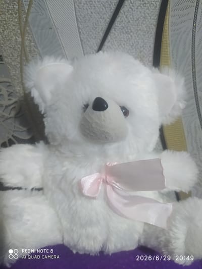 A close-up shot features a white teddy bear sitting upright. The bear has a pink satin bow tied around its neck, and its fur is soft and fluffy. The background is blurred but appears to be a textured surface, possibly a wall or fabric. The lower left corner of the image displays text indicating it was taken with a REDMI NOTE 8 AI QUAD CAMERA. The lower right corner shows a date and time stamp: 2026/6/29 20:49. The image does not contain any identifiable landmarks or elements that would allow for pinpointing a specific location within Baýramaly, Turkmenistan.