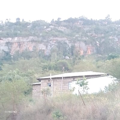 A single-story building with a white roof sits amidst dense foliage. It appears constructed from light-colored blocks. A cliff face dominates the background, exhibiting varying hues of gray, orange, and brown. It's partially obscured by trees and shrubbery. The image is somewhat hazy, with limited clarity in distant elements. The "TECN" watermark is visible in the bottom left corner.