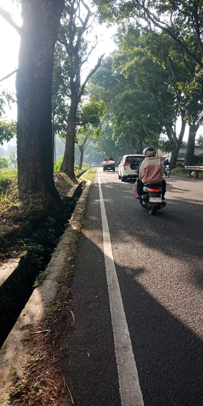 The image displays a daytime road scene in Cugenang, Indonesia. A two-lane asphalt road, marked by a solid white center line, extends into the distance. In the foreground, a person wearing a beige and pink jacket with a black helmet rides a dark scooter, license plate F 3184 FKD 06.22, moving away from the viewer. Behind the scooter, a white SUV and a black pickup truck with multiple light-colored bags in its open bed are also traveling in the same direction. Other vehicles are visible further down the road. To the left of the road, a concrete drainage ditch runs parallel to the asphalt, containing dark liquid and some vegetation. Large trees with thick, dark trunks and dense green foliage line the road's left side. Sunlight filters through the tree canopy from the left, casting long shadows across the roadway. The environment includes unkempt ground with dirt and sparse green vegetation along the ditch and tree bases.