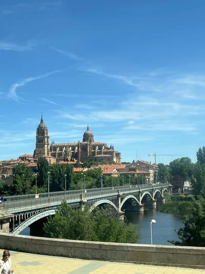 The image depicts a wide view of the cityscape of Salamanca, Spain, dominated by the Salamanca Cathedral and a prominent bridge spanning a body of water. The cathedral, a large and ornate structure with twin towers and domes, sits atop a hill, surrounded by other buildings with red-tiled roofs and lush green trees. In the foreground, a multi-arched bridge crosses the river, with its metal railings and lampposts visible. The river itself is dark and calm, reflecting the sky. The sky is a clear blue with wispy white clouds. In the lower left corner of the image, a woman wearing a light-colored jacket stands on a paved area, holding a drink. A person on a bicycle is visible on the bridge, and a construction crane can be seen in the distance behind the buildings. The scene suggests a sunny day in the historic city.