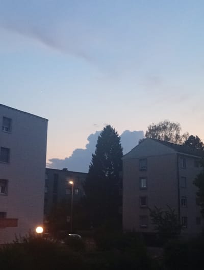 The image depicts an outdoor scene at dusk, likely in Langenthal, Switzerland, given the context. In the foreground, a streetlamp illuminates a small, circular light source from a garden lamp, casting a soft glow on the surrounding dark foliage. To the left, the side of a modern apartment building is visible, featuring rectangular windows with blinds. Further back, another apartment building is partially obscured by trees. The middle ground is dominated by a tall, dense evergreen tree, silhouetted against a sky with soft, wispy clouds. Behind the evergreen, the sky transitions from a pale blue overhead to a gradient of light pink and orange near the horizon, indicating the setting sun. The background features more apartment buildings and the tops of trees, including a tall birch tree with its distinctive foliage. The overall atmosphere is tranquil and urban.