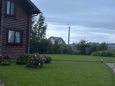 The image shows a view of a yard in Shebarshino, Russia, on an overcast day. In the foreground to the left is a portion of a dark wooden log house with two windows. In front of the house, there is a lush green lawn with two planters filled with pink and white flowers. Further into the yard, there are various trees and shrubs. In the background, another house with a green roof is visible, along with a utility pole with power lines and a street lamp. The yard is bordered by a fence, and a gravel pathway curves into the foreground from the right. The overall scene depicts a rural or suburban residential area.