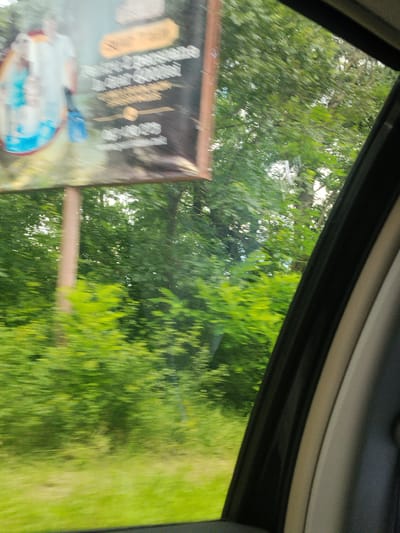 The image depicts a motion-blurred view from inside a vehicle, looking out a window. A large billboard is partially visible on the left side of the frame. The billboard features images and text, though it is heavily blurred due to the motion. The background is filled with green foliage, suggesting a natural or park-like setting. The sky is bright, indicating daylight. The location is specified as Vadul lui Voda, Moldova, implying this scene is captured within or near this city. The overall impression is one of movement through a landscape with a prominent advertisement.