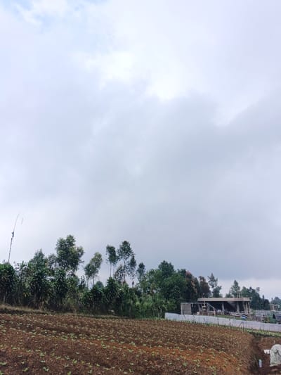 A cloudy sky dominates the view above a landscape of varied greens and browns. In the foreground, a cultivated field with young plants fills the frame. A dense line of trees and bushes creates a midground border. A structure with a partially visible roof and support columns is visible behind the trees. The overcast sky obscures details in the distance.