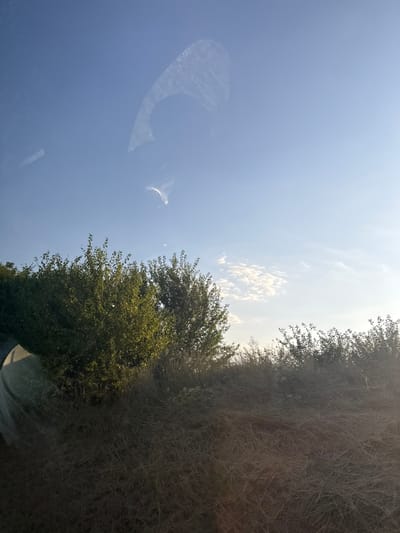 The image shows a landscape with a clear blue sky and some wispy clouds. In the foreground, there is dry grass and some green bushes. The scene appears to be outdoors, possibly in a rural or semi-rural area. There is a reflection on a surface, likely a window, obscuring a portion of the sky and showing a curved line. There are no people or animals visible in the image, and no specific identifiable landmarks to confirm the location in Sadovoe, Moldova. The lighting suggests it might be late afternoon or early morning.
