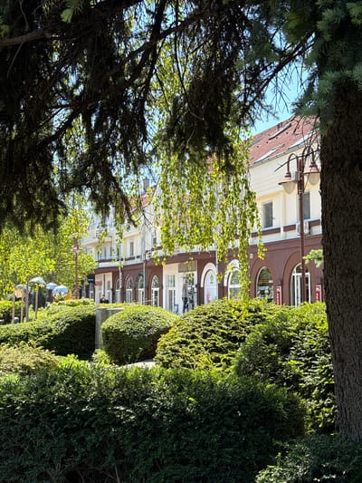 The photograph captures a street-level view through a gap in trees and foliage in Siófok, Hungary. A multi-story building with a brown facade and arched windows is visible in the background. Street lamps are positioned near the building. A line of well-maintained bushes and small, rounded trees flanks the right side of the frame. In the foreground, the branches of a tree obscure parts of the sky and the buildings.