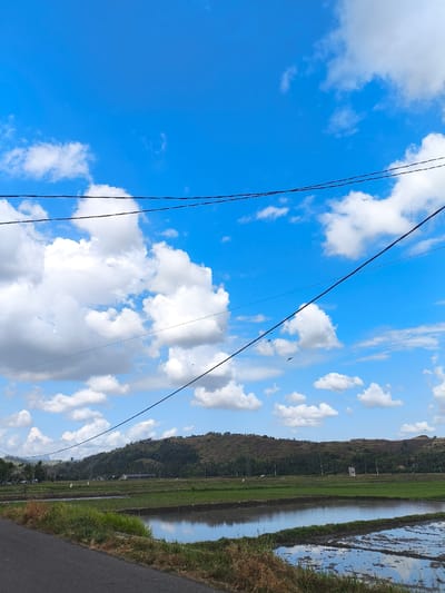 The image captures a landscape scene under a bright blue sky dotted with fluffy white clouds. In the foreground, a dark asphalt road runs along the left side, bordered by dry grass and some green vegetation. Beyond the road, a series of flooded agricultural fields, likely rice paddies, reflect the sky. Small earthen barriers separate the water-filled sections. In the mid-ground, more of these fields are visible, with some areas appearing greener and more cultivated, while others remain waterlogged. Scattered throughout the fields are what appear to be scarecrows or farmer figurines. The background features a gently sloping, tree-covered hill or small mountain range. A few buildings and power lines are sparsely visible in the distance, hinting at a rural settlement. The overall impression is one of a tranquil, agricultural setting in the countryside. The location is specified as Juliseutuy, Indonesia.