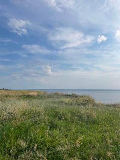 The image depicts a natural landscape with a body of water under a partly cloudy sky. In the foreground, tall green grass and some dry reeds cover a gentle slope. The grass is varied in texture and color, with some patches of lighter, dried vegetation interspersed with lush green growth. Small yellow wildflowers are visible within the grass.
In the mid-ground, the terrain levels out slightly, leading to the edge of a large body of water. This water appears calm and reflects the pale blue of the sky. The horizon line is clear, separating the water from the sky. On the far left of the mid-ground, a small cluster of buildings and a road with parked vehicles are visible, suggesting proximity to a settlement.
The sky is a mix of blue and white. Wispy cirrus clouds are scattered across the blue expanse, with some larger, more cumulus-like clouds present, particularly towards the top right. The lighting suggests it is daytime, possibly late afternoon or early morning, with soft sunlight illuminating the scene.
The location in the city of Ягодное, Russia, is characterized by this type of natural environment, likely a coastal or lakeside area. The presence of the water, vegetation, and distant buildings is consistent with such a setting within or near the city. There are no people or animals prominently featured in the image.
