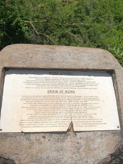 The image shows a sign located at the Mzima Springs in Tsavo National Park, Kenya. The sign is made of a gray, concrete material and has a white, rectangular plaque with black text explaining the origin and characteristics of Mzima Springs. The sign is mounted on a rock formation. The sign is located in a lush, green environment with trees and bushes in the background. The coordinates provided correspond to the location of Mzima Springs in Tsavo North National Park.