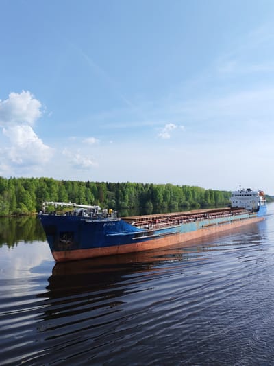 The image depicts a large blue and rust-colored cargo ship, identified by the name "РУНА" on its bow, navigating a body of water. The vessel is moving, indicated by the waves radiating outward from its hull. A dense forest line borders the water's edge on the left side. The sky is blue with scattered white clouds. The location is Gari, Russia.