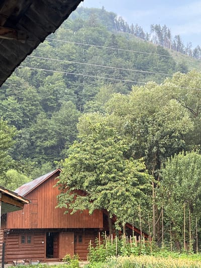 This image depicts a rustic scene featuring wooden structures nestled amongst lush greenery. A steep, tree-covered hillside dominates the background, with thin white lines, possibly power lines or fencing, crisscrossing its slope. Several tall, slender trees line the crest of the hill.
In the foreground, a wooden building with a prominent sloping roof is visible on the left. To the right, a larger, multi-story wooden structure with visible windows and doorways stands, its weathered brown planks creating a textured facade. A series of thin wooden stakes are planted in the ground in front of this building, suggesting a garden or cultivated area. The overall impression is one of a rural or semi-rural setting, possibly a mountain village or a secluded retreat.
The dense foliage of trees suggests a warm season, likely summer or late spring, and the overcast sky hints at a possibly humid or misty day, consistent with mountainous regions. The scene appears tranquil and undisturbed. There is no visible text in the image. The orientation of the image is such that the hillside appears to be on the left and the buildings on the right, suggesting a sideways capture or a rotated view of the landscape.