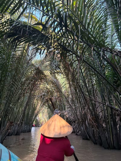 The image, when viewed upright, depicts a tranquil scene from a boat navigating a narrow waterway densely lined with tropical vegetation. The perspective is from within the boat, looking forward and slightly upwards through the natural canopy.
In the foreground, a person is visible from the back, wearing a traditional Vietnamese conical hat (nón lá) made of light-colored material, likely straw or bamboo. They are dressed in a deep red long-sleeved top and appear to be paddling the boat with a dark oar, part of which is visible. A corner of a blue patterned fabric, possibly a blanket, is seen in the bottom right corner of the boat.
The primary subject of the scene is the lush, verdant foliage that engulfs the waterway. Dense fronds, characteristic of nipa palms, extend from both sides, forming a natural arch or tunnel overhead. These fronds are a mix of dark and lighter greens, with some dried or older fronds visible among the newer growth, creating a rich, textured environment. The sunlight filters through the dense canopy, creating dappled patterns of light and shadow on the leaves and the murky brown water of the canal or river. Glimpses of a bright blue sky are visible through gaps in the overhead foliage.
The activity taking place is a peaceful boat journey through what appears to be a nipa palm forest or a similar mangrove-like ecosystem. The narrowness of the waterway and the surrounding dense vegetation suggest an immersive experience in nature. The cultural element of the conical hat firmly places the setting in Southeast Asia, consistent with the Thới Sơn area of Vietnam's Mekong Delta. The time of day appears to be late morning or early afternoon, characterized by the bright, diffused sunlight. There is no visible text in the image.