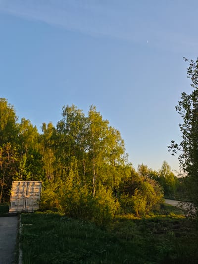 The image shows a daytime scene in Мичуринский, Russia, featuring a small, sliver of a crescent moon high in a light blue sky. The lower half of the frame is dominated by lush green trees. A tan or light gray shipping container is visible on the left side of the image, positioned next to a paved area and green grass. Further back, a path or road winds through the trees on the right. The light suggests it's late afternoon or early evening.