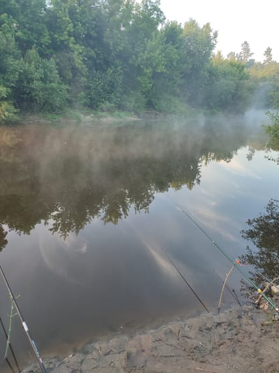 This image captures a tranquil morning scene by a river in the village of Koziivka, Ukraine. The water is calm, with a gentle mist rising from its surface, partially obscuring the lush green trees that line the opposite bank. The mist creates a soft, ethereal atmosphere, reflecting in the still water. Several fishing rods are set up along the muddy bank in the foreground, suggesting a peaceful fishing session in progress. The sky above is bright and appears to be early morning or late evening, with a pale, almost white, glow. The overall impression is one of quiet solitude and the beauty of nature.