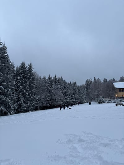 The scene depicts a snow-covered winter landscape in Le Hohwald, France, under an overcast, light grey sky. The foreground consists of an expansive white snowfield marked by footprints and disturbed snow. In the midground, approximately 10-15 individuals, dressed in dark winter clothing, are distributed across a gentle snowy slope near a treeline. They appear to be engaged in recreational activities; some are standing or walking, while a small dark object, possibly a sled, is visible on the snow among a cluster of individuals. The left and center background are dominated by a dense forest of snow-laden evergreen trees. To the far right, partially obscured by trees, a light-colored, multi-story building with a dark roof is visible, with a wooden fence and a dark, wagon-like object in the snow near it.