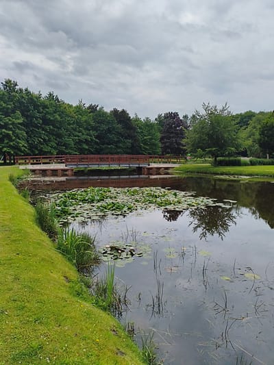 The image depicts a serene park scene in Papenburg, Germany. A tranquil pond, dotted with lily pads and a few blooming pink water lilies, dominates the foreground. Reeds and tall grasses grow along the pond's edge. A wooden footbridge with a brown railing spans the water in the middle ground, supported by concrete pillars. Beyond the bridge, lush green trees form a dense backdrop, with a few deciduous trees showcasing darker foliage. The sky above is overcast with a thick layer of gray clouds. The left side of the image features a neatly mown grassy embankment leading down to the pond. The reflection of the bridge and surrounding trees is visible in the calm water. There are no people or animals present in the scene.