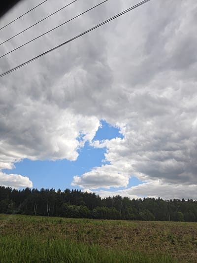 The image depicts a landscape with a dark forest bordering a field. The sky is partly cloudy, with dramatic grey and white clouds interspersed with patches of blue sky. Several thin, dark lines, likely power lines, stretch across the upper portion of the image. The foreground consists of a field with tall green grass and what appears to be tilled earth. The forest is dense with various types of trees. There are no people or animals visible in the image. The scene is calm and natural, suggesting a rural or semi-rural environment. The location is specified as Ziuzino, Russia.