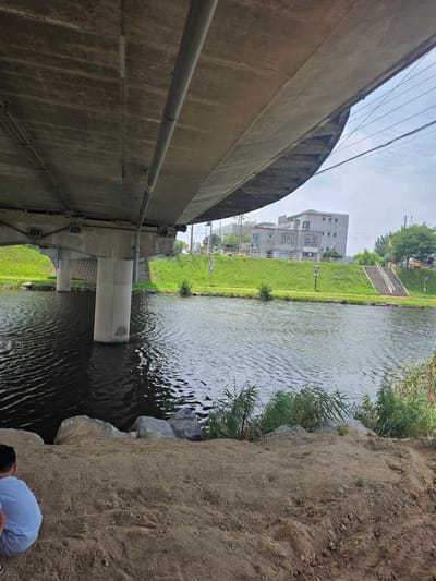 This image depicts the underside of a concrete bridge spanning a canal in Anseong-si, South Korea. The canal water exhibits ripples, suggesting a gentle current. The canal banks are covered in green grass, with a few scattered rocks visible along the edge. On the far bank, a multi-story building with windows and a signage is present, situated behind a grassy embankment. A set of stairs leads up the embankment from the canal level towards the building. Several trees are also visible on the far bank. In the foreground, a sandy area is present with some larger rocks and vegetation. A young person wearing a light blue shirt is crouching on the sandy bank, facing away from the camera and towards the canal. The sky above is cloudy.
