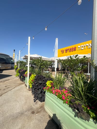 This is a vertical, eye-level outdoor shot on a sunny day. The scene is a street-level view of a storefront with outdoor seating, possibly a cafe or restaurant, in the Bnei Shimon Regional Council, Israel. A large, bright yellow sign with red lettering hangs prominently on the building. The lettering, written in Hebrew, appears to read "חוליה שקופה" (Huliya Shkufah), which translates to "Transparent Link" or "Transparent Hoop."

The foreground features a large, light green planter overflowing with lush greenery and colorful flowers in shades of pink and red. Dark purple foliage also adds a striking contrast. Beyond the planter, white umbrellas provide shade over empty tables and chairs set up for outdoor dining. Several white poles with hanging lights are visible, suggesting this area is used in the evening as well.

In the background, two buses are parked on the street. The sky is a clear, vibrant blue, indicating good weather. The lighting suggests it is daytime, likely morning or afternoon, given the bright sunlight casting shadows. No people are clearly visible in the image, but the setup implies a place of business catering to customers. The overall impression is a pleasant, sunny outdoor dining or waiting area.