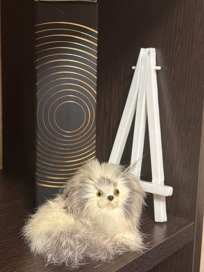 The image shows a stuffed animal lying on a dark wooden shelf. The stuffed animal is small and fluffy, with grey and white fur. It has yellow eyes and a black nose. The stuffed animal is resting on a black box with a pattern of gold concentric circles. Behind the stuffed animal and the box, a white plastic easel is partially visible, folded and lying on the shelf. The setting appears to be indoors, likely a room with wooden furniture. There is no visible text in the image. The lighting suggests it is daytime, but the specific time or weather conditions are not discernible. The overall mood is still and quiet, with the stuffed animal appearing to be asleep or resting.