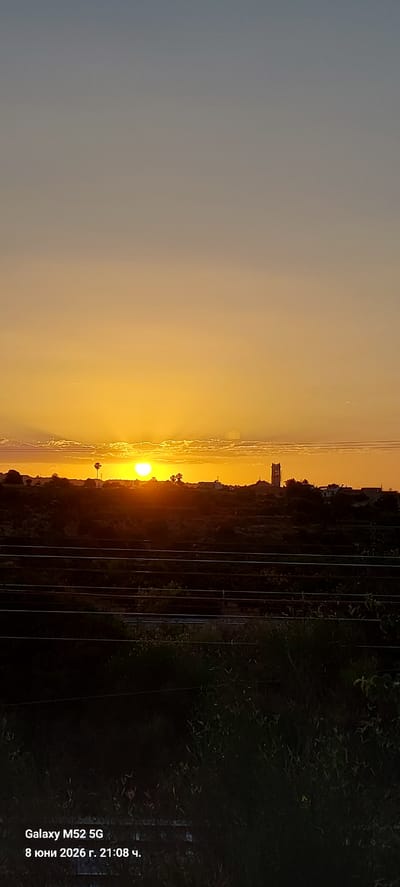 The image depicts a sunset over a rural or semi-rural area, likely on the outskirts of Xàtiva, Spain, given the metadata. The sky is a gradient of pale blue at the top transitioning to a vibrant orange and yellow near the horizon, indicative of the sun setting. The sun itself is partially obscured by a thin layer of clouds and appears as a bright, heart-shaped orb.

In the middle ground, a silhouette of a town or village is visible against the bright sky. Prominently featured is a tall, slender tower, likely a church steeple, rising above the other structures. There are also scattered trees and vegetation in this area, casting dark shadows. A single, tall palm tree is also visible near the setting sun.

The foreground consists of dark, silhouetted vegetation and what appear to be utility poles with multiple wires stretching horizontally across the frame. These wires create a distinct linear pattern that divides the foreground from the middle ground. The overall impression is one of a serene, twilight landscape.

The bottom left corner of the image contains text overlay, reading "Galaxy M52 5G" and "8 юни 2026 г. 21:08 ч." This indicates the device used to capture the photo and the date and time it was taken, in Bulgarian.