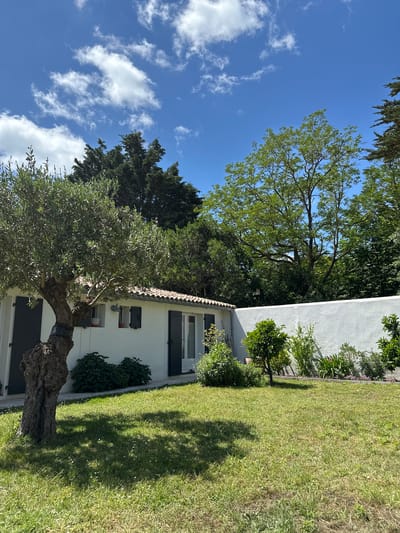 The image depicts a sunlit scene in La Couarde-sur-Mer, France, featuring a white, single-story building with green shutters and a red-tiled roof edge. An olive tree, with a dark, gnarled trunk partially wrapped, stands prominently in the foreground, its leaves reaching towards the building. To the right, there's a patch of green grass with visible shadows. Behind the building, there's dense foliage from various trees, including what appears to be a tall pine tree. The sky is a bright blue with scattered white clouds. The image is taken at an angle, rotating the scene approximately 90 degrees counter-clockwise.