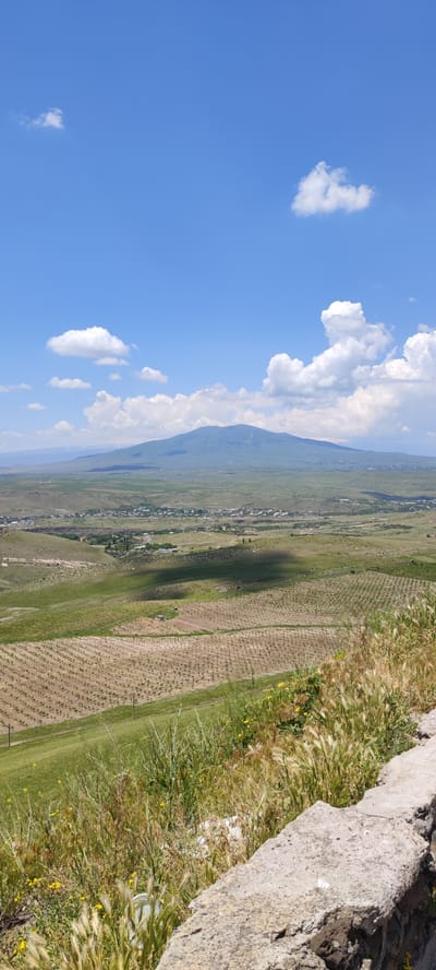 The image depicts a wide, panoramic view of a rural landscape under a bright blue sky with scattered white clouds. In the foreground, a rough, textured stone wall or barrier runs along the bottom right of the frame, overgrown with various grasses and small yellow wildflowers. Beyond the wall, the terrain slopes downwards, revealing agricultural fields.

The fields are organized in rows, suggesting cultivated crops, with some areas appearing to be recently tilled or planted with young saplings. The colors of the fields range from muted browns and tans to vibrant greens, indicating different stages of growth and land use. A prominent shadow, likely cast by a cloud, falls across a section of the middle ground.

Further in the distance, a small town or village is visible, characterized by a cluster of buildings with red or grey roofs. This settlement is nestled within a valley, surrounded by rolling hills and more expansive green fields. The landscape stretches towards a large, imposing mountain in the far distance. The mountain is rounded and appears to be covered in vegetation, with its slopes creating a dark silhouette against the hazy horizon. The sky is a vivid blue, with fluffy cumulus clouds adding depth and texture to the scene.

The location is identified as Nurnus, Armenia. The scene is devoid of any people or animals. The overall impression is one of a serene, rural vista, likely captured on a sunny day.