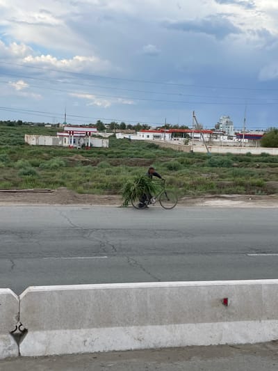 The image shows a person riding a bicycle laden with a large bundle of greenery. The bicycle is on a paved road that runs alongside a grassy area. In the background, there are buildings, some of which appear to be industrial or commercial, and a body of water or a large expanse of sky. The sky is cloudy, suggesting it might be overcast or late afternoon. There are power lines visible against the sky, and the overall setting appears to be semi-rural or industrial, consistent with a location like Qanlikul, Uzbekistan. The rider is partially obscured by the greenery they are carrying. The concrete barrier in the foreground has a red reflector attached to it. The image is taken in landscape orientation, but the scene appears to be oriented vertically within the frame.