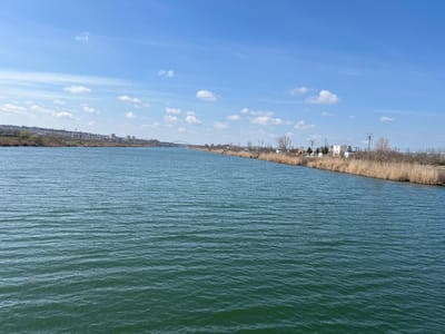The image depicts a wide canal, identified as part of the Danube-Black Sea Canal, located in the vicinity of Medgidia, Romania. The scene is captured under a clear blue sky with scattered white cumulus clouds.
The central and foreground are dominated by the dark teal-colored water, which exhibits numerous small, uniform ripples across its surface. No vessels or individuals are present on the water.
The left bank, in the distant background, features the urban skyline of Medgidia. Structures visible include a prominent cylindrical water tower, several multi-story residential buildings, and other assorted structures. The bank is lined with varied vegetation, including trees in early stages of leafing, indicating a spring season. A distinct, light-colored arch bridge spans the canal further down the waterway.
The right bank, extending from the midground to the distant background, is characterized by a dense strip of dry, light brown reeds or tall grasses along the water's edge. Beyond this vegetation, utility poles with associated power lines run parallel to the canal. Scattered bare trees and some with nascent foliage are interspersed along this bank. Several white, rectangular industrial or utility buildings are visible, along with a partially obscured yellow excavator or heavy machinery. No people are visible on either bank.