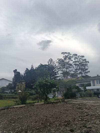 The image displays an outdoor scene in Kon Ra Kiah, Vietnam, under an overcast, light grey sky with scattered darker clouds. The foreground consists of an extensive, uneven surface of dark grey and brown gravel or small rocks. A low, light-colored concrete or stone curb delineates the gravel from a green grassy area in the midground. This grassy section features several dark green bushes and trees, one prominently displaying light-colored or pink blossoms. Yellow flowers are visible within the grass to the left.
In the background, multiple buildings are visible amidst dense tree coverage. To the left, a white building with a dark, sloped roof is partially obscured by tall, dark green trees. To the right, a two-story building with light-colored walls and a dark, sloped roof features several windows. A dark-colored vehicle, possibly a utility truck, is parked adjacent to the right side of this building, partially visible. The background is dominated by numerous trees, including tall conifers and broader deciduous trees with varying shades of green foliage and some lighter-colored trunks. No individuals are present in the scene.