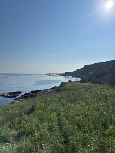 The image shows a coastal landscape in Sveti Nikola, Bulgaria. The scene consists of a calm body of water bordered by a rocky shoreline and a steep, vegetated cliff. The cliff is covered with green grass and low-lying plants, with scattered yellow flowers visible. The sky is clear blue with the sun shining brightly. Rocks are scattered along the shoreline, and the water's surface appears smooth. The vegetation extends inland along the cliff edge.