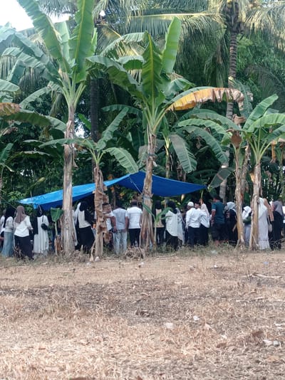 A group of approximately twenty people, some wearing white clothing and headscarves, are gathered outdoors under a blue tarp. The location appears to be near banana trees and other dense vegetation, with dry, brown grass covering the ground. The scene is set in a rural or semi-rural environment. The people are facing towards the center of the gathering, with some individuals looking at their phones. The overall atmosphere suggests a casual or informal gathering, possibly a community event or a brief respite from activities. The lighting indicates it is daytime, with a slight haziness in the background suggesting it might be a warm or humid day.