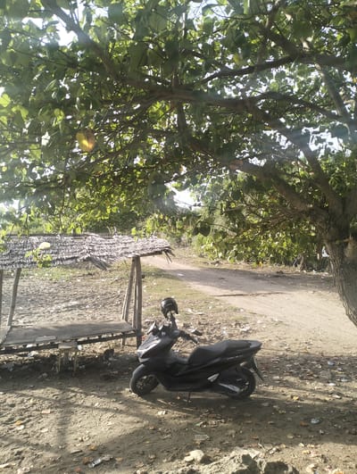 An outdoor scene in Blanglancang, Indonesia, features a black scooter parked on a dirt path beneath a large tree with green leaves. To the left of the scooter is a rustic shelter constructed with bamboo poles and a thatched roof made of dried leaves. The ground is sandy and littered with fallen leaves and debris. The background shows a path winding through vegetation. The sky is visible through the tree canopy, indicating a bright, possibly sunny day.