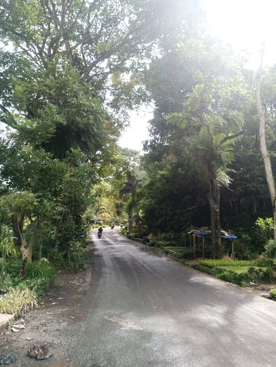 A wet, gray asphalt road stretches into the distance, lined with lush greenery and tall trees that meet overhead, creating a tunnel-like effect. Sunlight filters through the canopy. Two motorcycles are seen on the road. A small, wooden structure with a blue tarp roof sits to the right of the road, adding a touch of human presence to the natural scene.