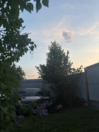 The image, taken outdoors in what appears to be a garden or backyard, shows a partly cloudy sky above. A light-colored building with corrugated siding is visible on the right side of the frame. The foreground and midground are dominated by trees and bushes with green leaves, some of which feature clusters of purple flowers that appear to be lilacs. A black vehicle is parked partially obscured by the foliage, close to the building. The location is identified as Пальники, Russia.