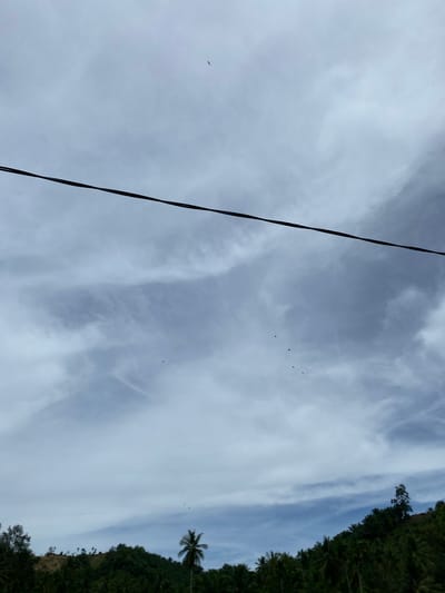A low-angle shot captures a partly cloudy sky in Meunasahseupeng, Indonesia. A dark, thick power line stretches diagonally from the lower left to the upper center of the frame. Small birds are scattered in the sky. The tree line is on the right edge of the image, including a single palm tree at the center right. The view appears to be taken from ground level.